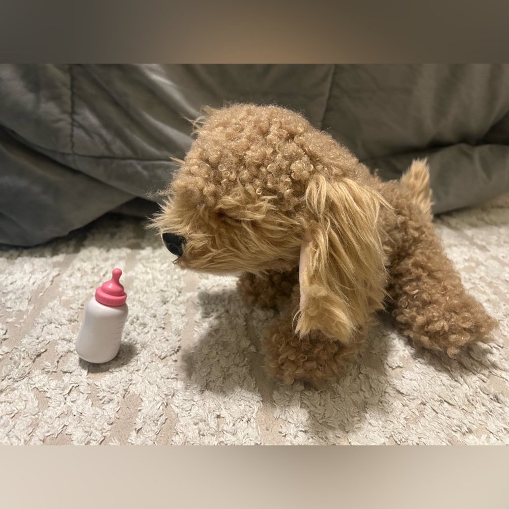 Little Live Pets My Really Real Puppy CURLEY Dog Golden Doodle Curly Cavoodle - Picture 3 of 3
